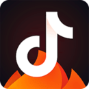 WWW,313av·COM网站APP