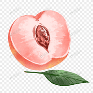 蘑菇视频1.3.4.APP应用